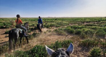 fot. Maroc a cheval