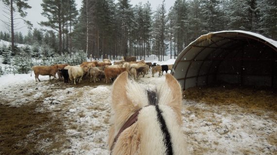 fot. Karen Anna Kiær