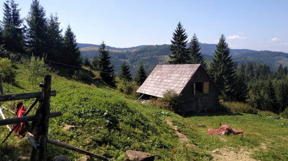 fot. Andriej Smogorżewski