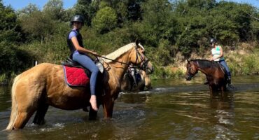 fot. Stajnia D'Amore