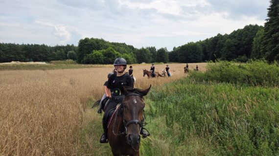 fot. Stajnia D'Amore