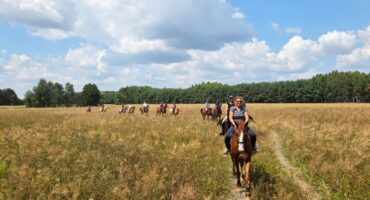 fot. Stajnia D'Amore