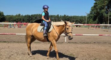 fot. Stajnia D'Amore