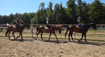 fot. Stajnia D'Amore