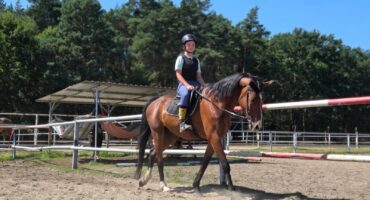 fot. Stajnia D'Amore