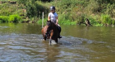 fot. Stajnia D'Amore