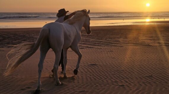 fot. Maroc a cheval