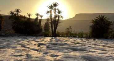 fot. Maroc a cheval