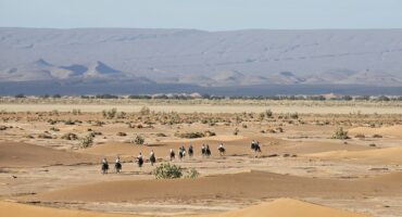 fot. Maroc a cheval