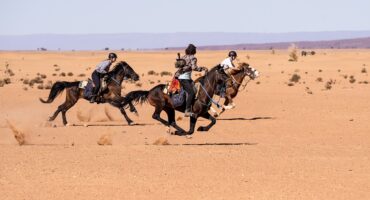 fot. Maroc a cheval