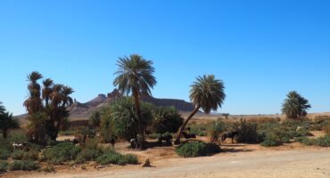 fot. Maroc a cheval