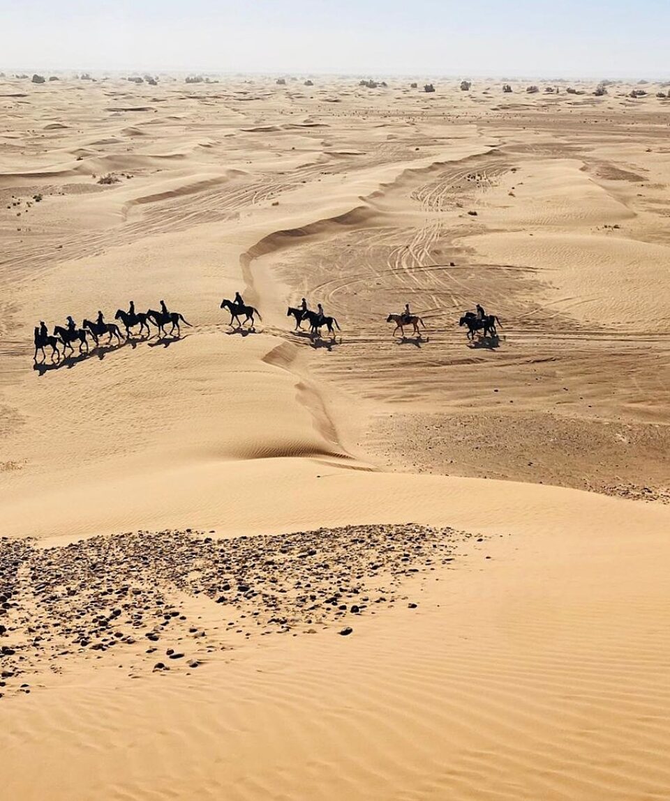 Sahara(130)-1-1