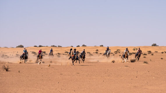 fot. Maroc a cheval