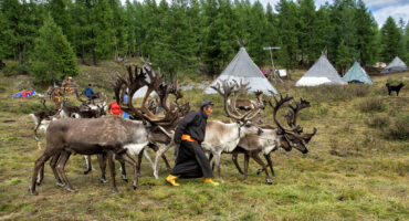 fot. Mewa bez kliszy