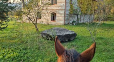 fot. Agnieszka Noszczyk-Nowak