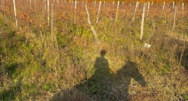 fot. Aleksandra Łykowska