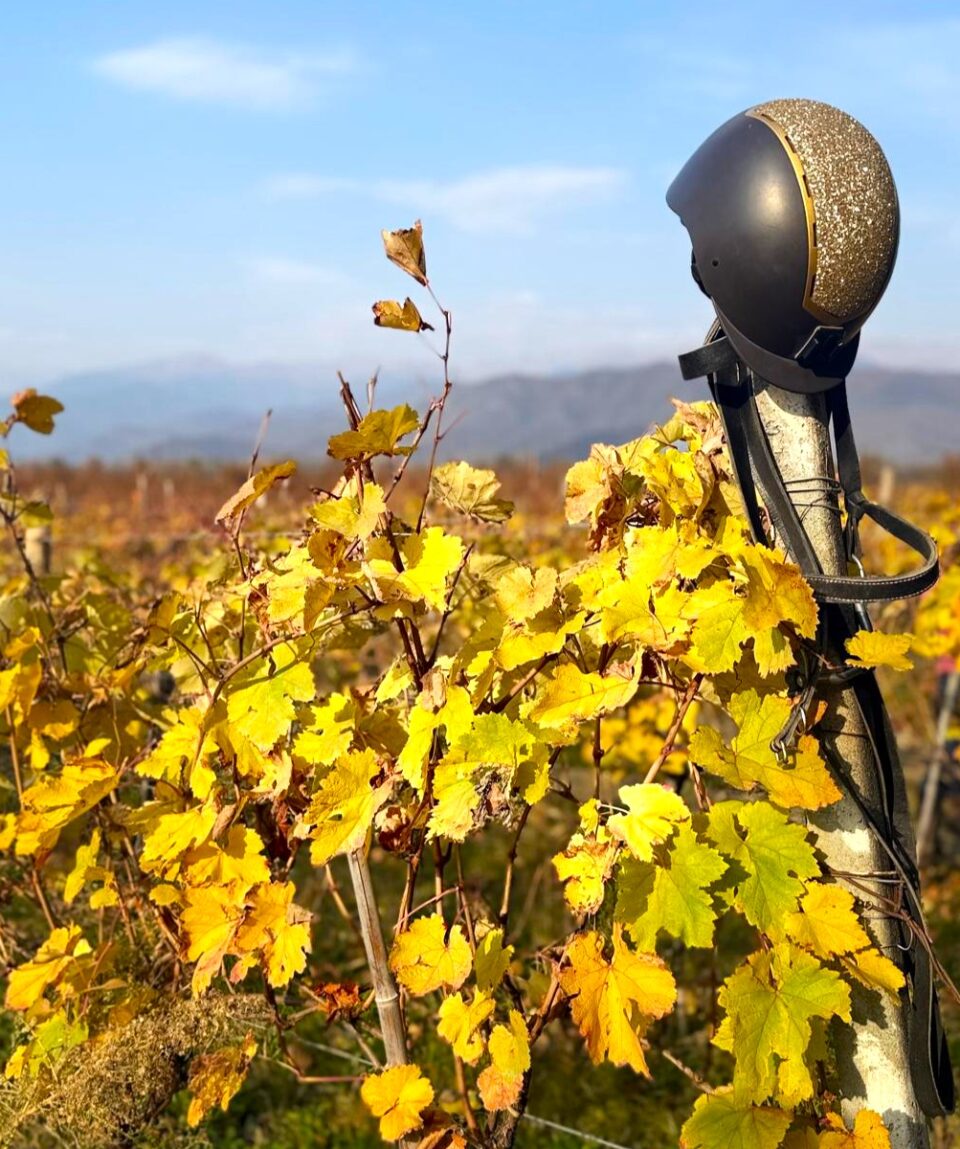 fot. Aleksandra Łykowska