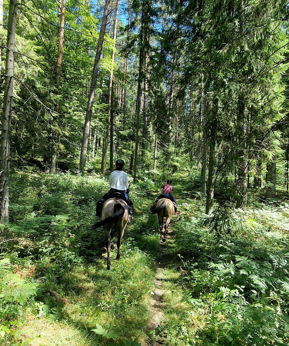 fot. Paweł Jasiński / Lisowczycy