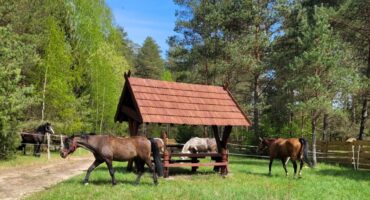 fot. Karolina Goździkowska / Lisowczycy