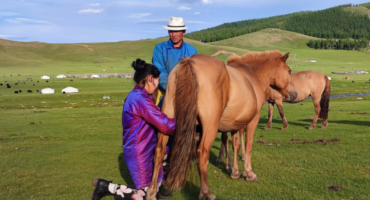 fot. Mewa bez kliszy