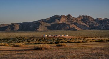 fot. Mewa bez kliszy