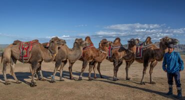 fot. Mewa bez kliszy