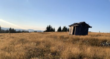 fot. z archiwum przewodnika