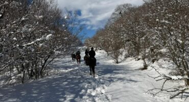 fot. Irakli Gedeshuri