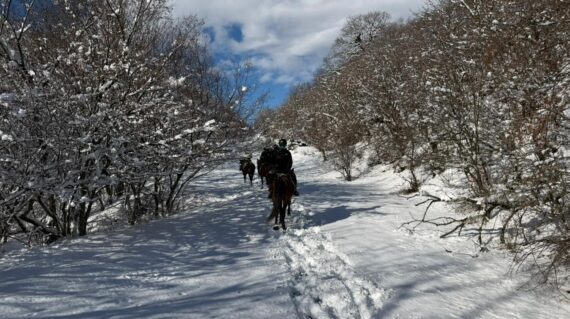 fot. Irakli Gedeshuri