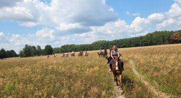 fot. Stajnia Nowolipsk