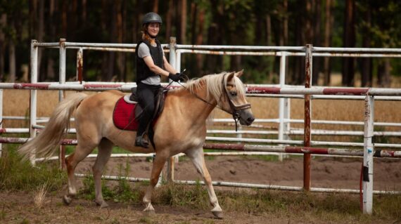 fot. Stajnia Nowolipsk