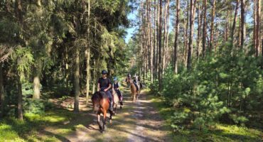 fot. Stajnia Nowolipsk