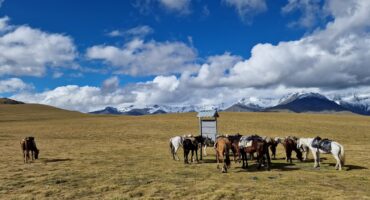 fot. Paweł Jasiński / Lisowczycy