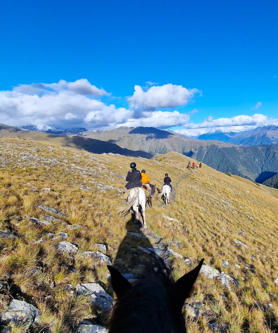 fot. Paweł Jasiński / Lisowczycy