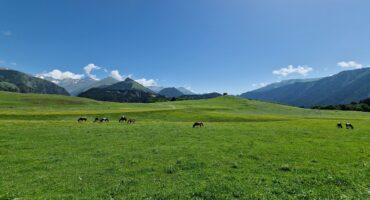 fot. Paweł Jasiński / Lisowczycy