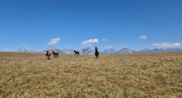 fot. Paweł Jasiński / Lisowczycy