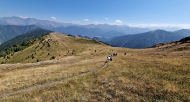 fot. Paweł Jasiński / Lisowczycy