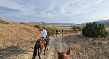 fot. Małgorzata Maślanka / Lisowczycy