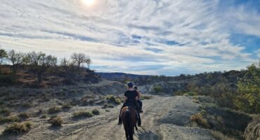 fot. Małgorzata Maślanka / Lisowczycy