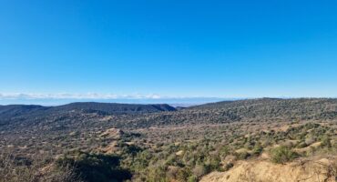 fot. Małgorzata Maślanka / Lisowczycy