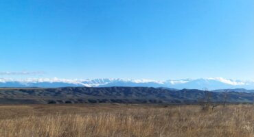 fot. Małgorzata Maślanka / Lisowczycy