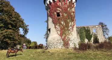 fot. z archiwum przewodnika
