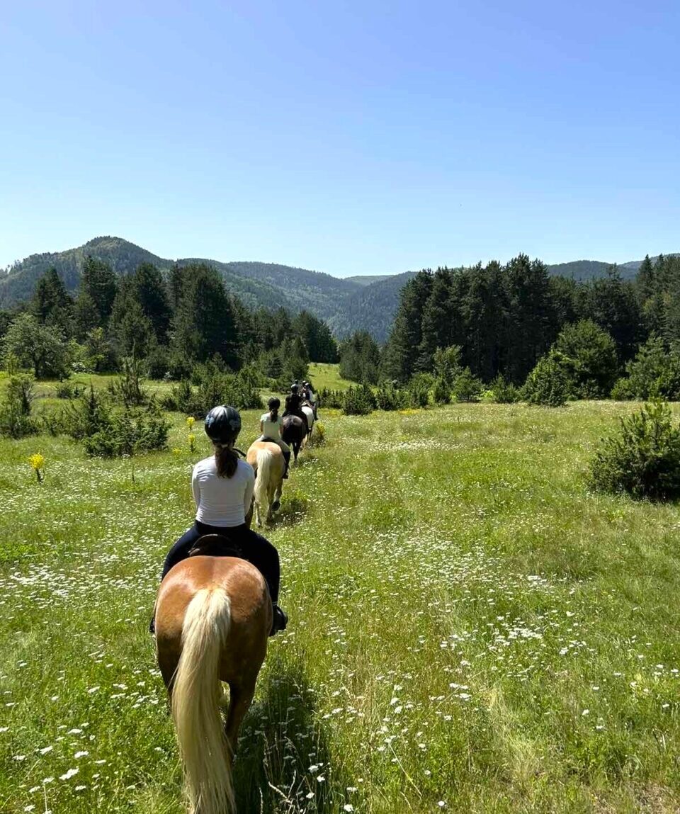 fot. z archiwum przewodnika