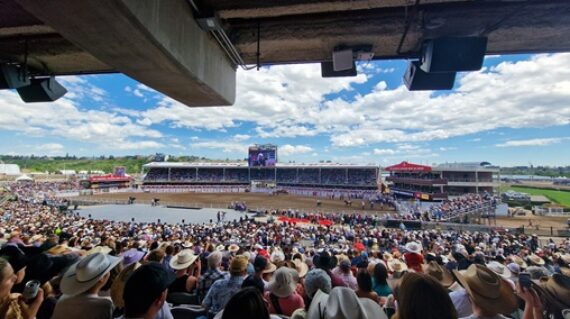 fot. Paweł Jasiński / Lisowczycy