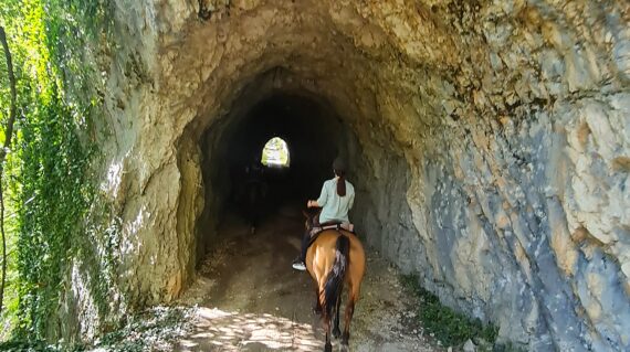 fot. Arkadiusz Kuźniewski