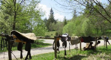 fot. z archiwum przewodnika