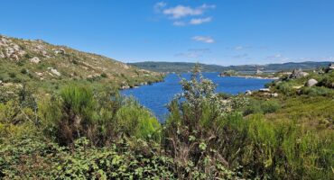 fot. Małgorzata Maślanka / Lisowczycy