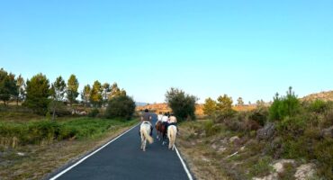 fot. Aleksandra Bąk