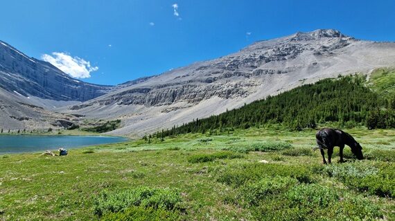 fot. Paweł Jasiński / Lisowczycy