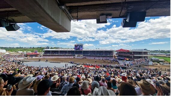 fot. Paweł Jasiński / Lisowczycy